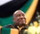 Absurder Skandal um Büffel und Geld im Sofa bringt Südafrika an Rand des Politchaos
