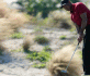 Golf: Tiger Woods 18. bei Comeback in der Karibik